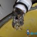 3 Times You MUST Call A Plumber In Singapore by Mr Plumber Singapore