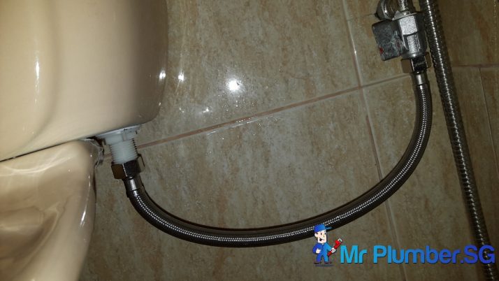 Replace Toilet Flexible Hose Connector Plumber Singapore
