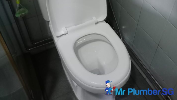 Toilet Bowl Replacement Plumber Singapore – Condo, Geylang