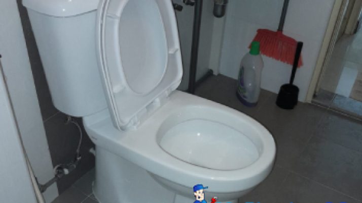 Toilet Bowl Replacement Plumber Singapore – HDB, Bukit Panjang
