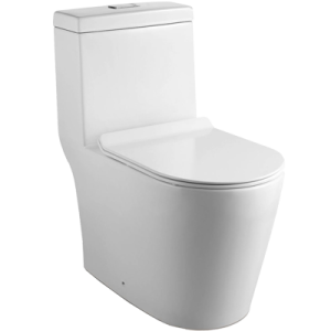 1 piece toilet bowl services mr plumber singapore