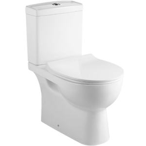2 piece toilet bowl services mr plumber singapore