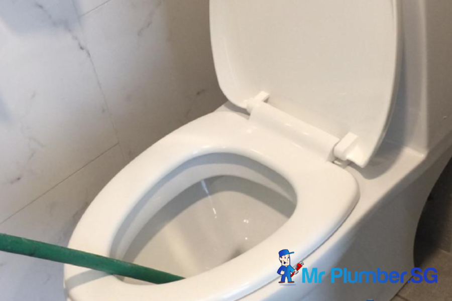 Toilet-Bowl-Frequently-Clogged