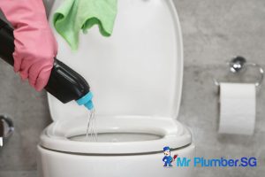 5 Quick Fixes for a Clogged Toilet by Plumbers in Singapore 3 enzyme-cleaners-5-quick-fixes-for-a-clogged-toilet-toilet-bowl-choke-mr-plumber-singapore