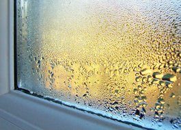 excessive-moisture-mr-plumber-singapore