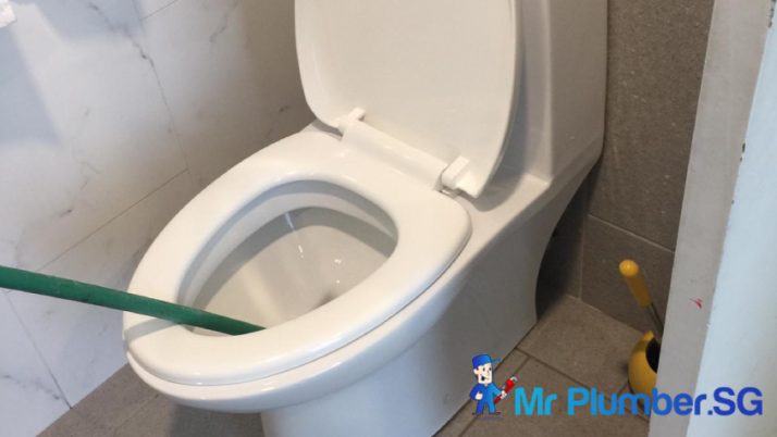 5 Quick Fixes for a Clogged Toilet by Plumbers in Singapore