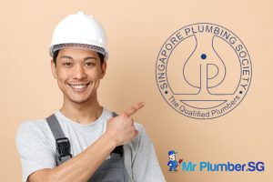 professional-assiociations-6-tips-for-choosing-a-licensed-plumber-plumbing-services-mr-plumber-singapore