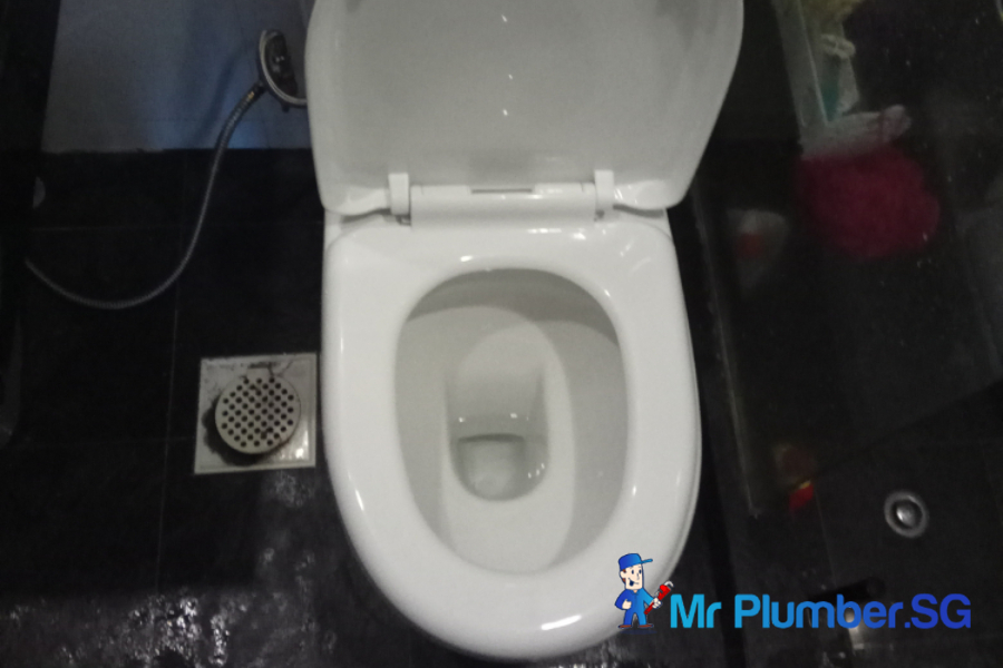 toilet-bowl-leak-mr-plumber-singapore