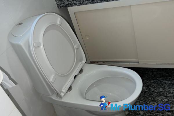 toilet-bowl-replacement-repair-mr-plumber-singapore