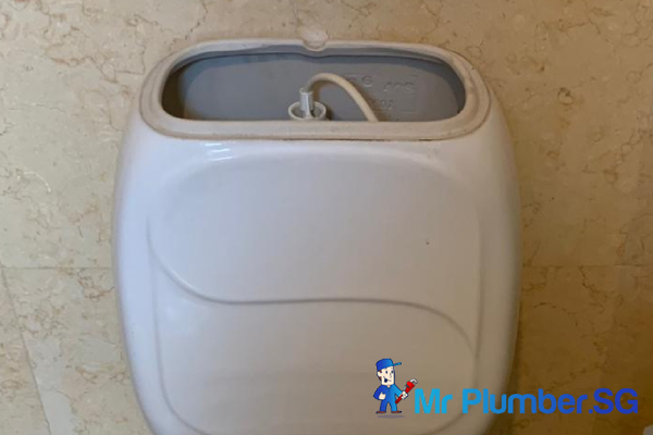 toilet-flush-system-repair-mr-plumber