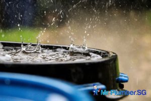 rainwater-collection-5-eco-friendly-plumbing-solutions-for-homes-residential-plumbing-mr-plumber-singapore