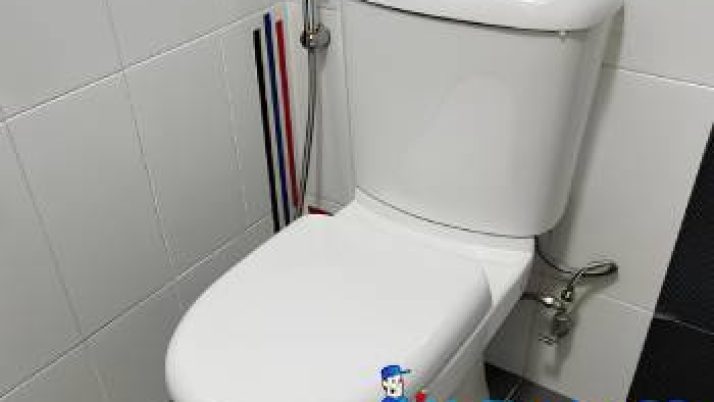 Toilet Bowl Replacement Plumber Singapore – HDB, Bukit Panjang