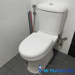 toilet-bowl-replacement-services-mr-plumber-singapore-hdb-bukit-panjang-2