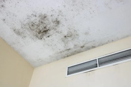 mould-on-ceiling-mould-removal-mr-plumber-singapore