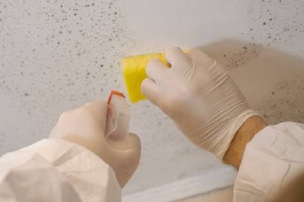 mould removal mr plumber singapore 2 1