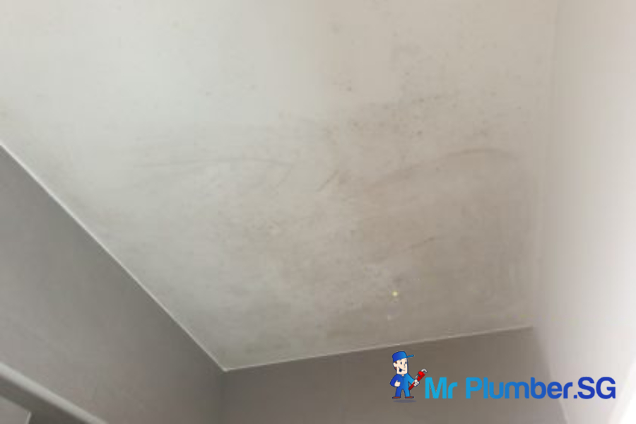 mould-removal-project-mr-plumber-singapore-1