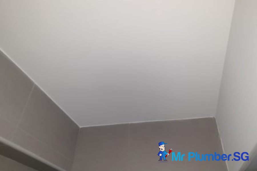 mould-removal-project-mr-plumber-singapore-2