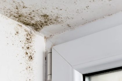 thorough-inspection-mould-removal-mr-plumber-singapore