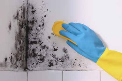 wall-mould-removal-mr-plumber-singapore