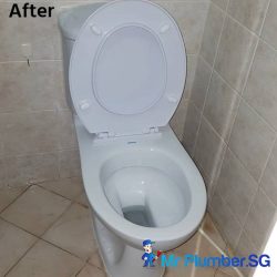 toilet-bowl-installation-services-plumber-singapore-hdb-bukit-batok-3 toilet-bowl-installation-services-plumber-singapore-hdb-bukit-batok-3