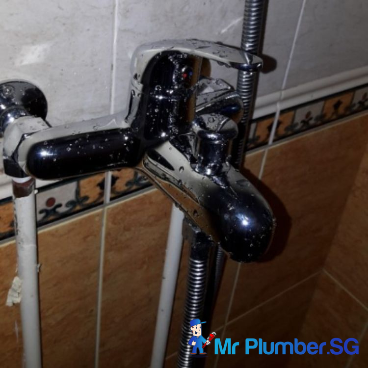 Shower-Mixer-Faucet-Replacement-Plumber-Singapore-HDB-Holland-Village