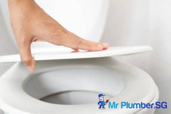 Toilet Seat Cover Replacement/Installation 1 toilet-seat-cover-replacement-mr-plumber-singapore-4