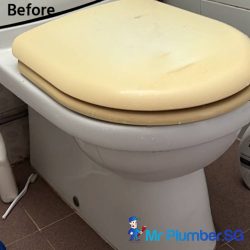 toilet-bowl-installation-services-mr-plumber-singapore-condo-east-coast-2 toilet-bowl-installation-services-mr-plumber-singapore-condo-east-coast-2