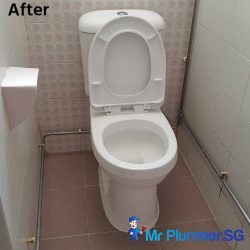 toilet-bowl-installation-services-mr-plumber-singapore-condo-east-coast-3 toilet-bowl-installation-services-mr-plumber-singapore-condo-east-coast-3