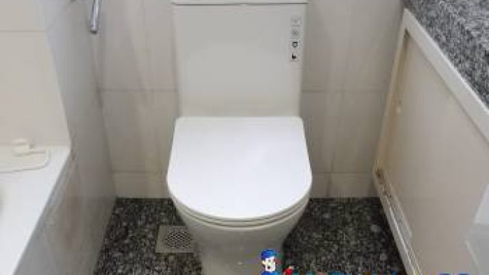 Toilet Bowl Replacement Plumber Singapore – Condo, Orchard